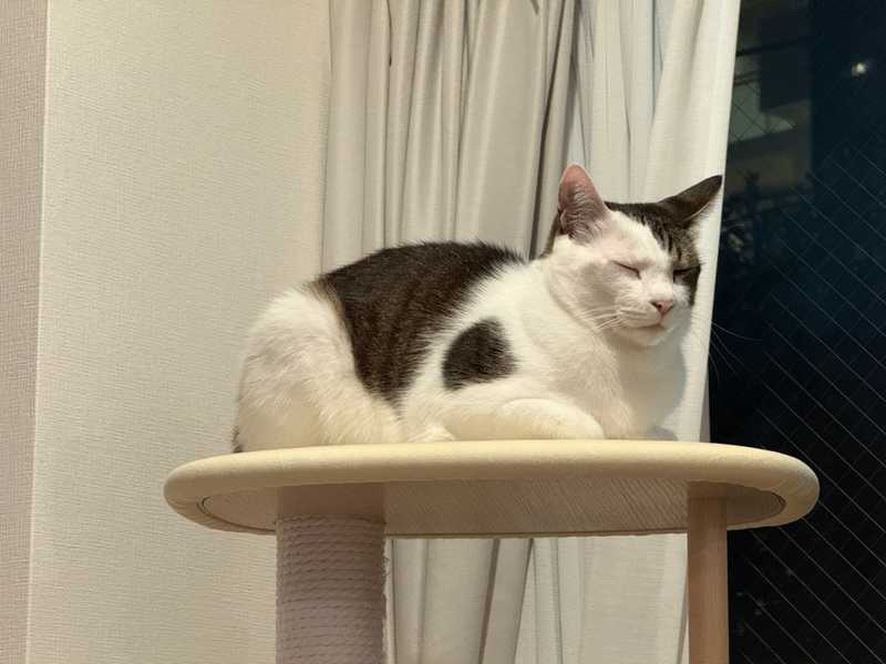 Life is hard