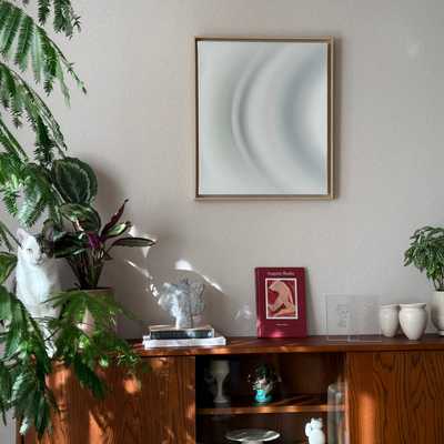 A Mog in their natural habitat