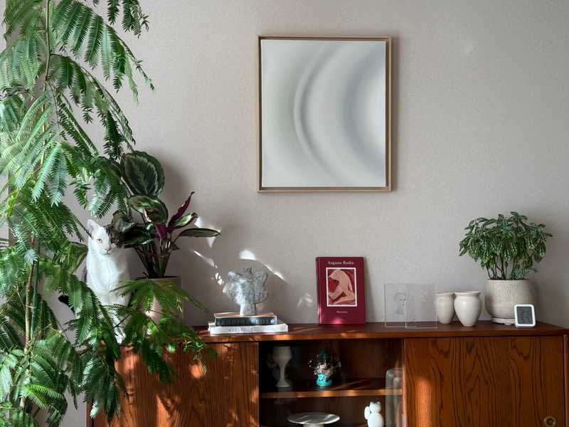 A Mog in their natural habitat