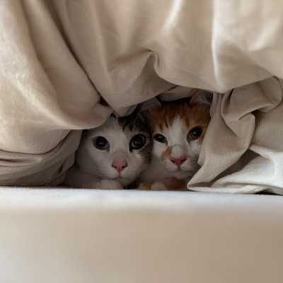 Hiding from delivery men