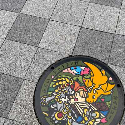Dinosaurs in Fukui