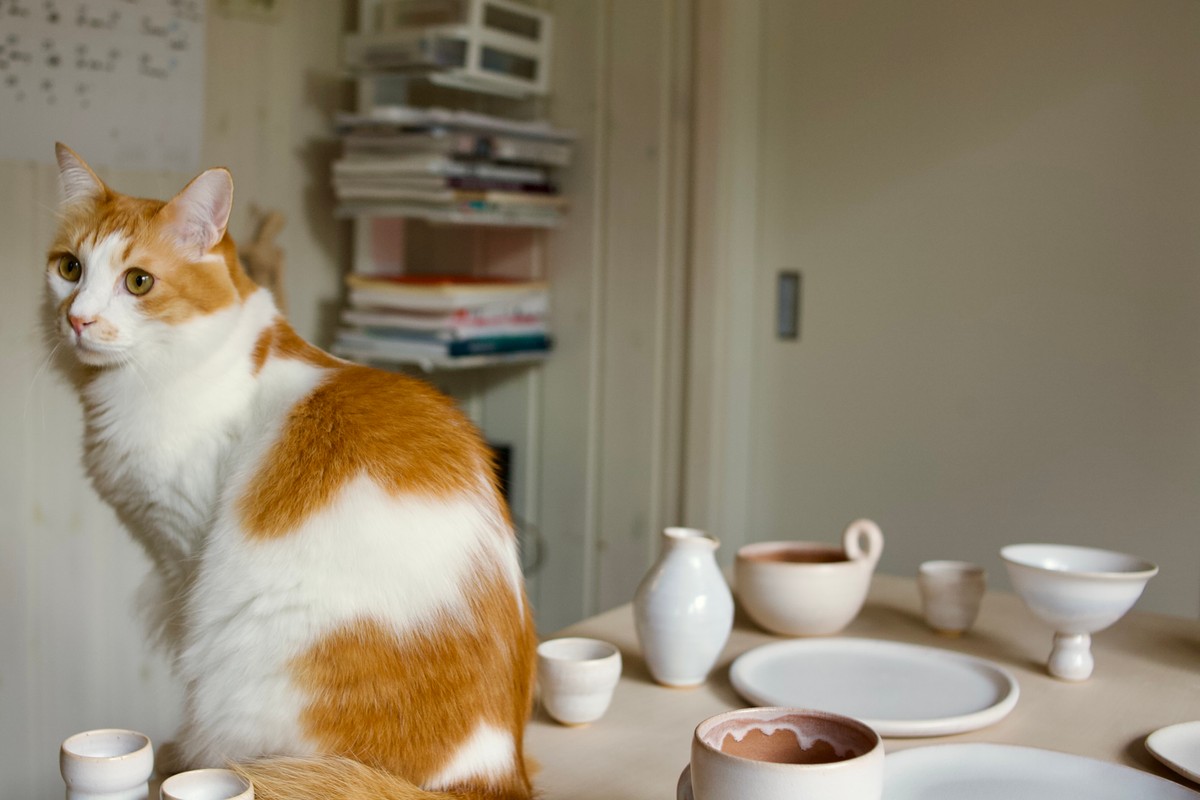 Bonji a little out of focus