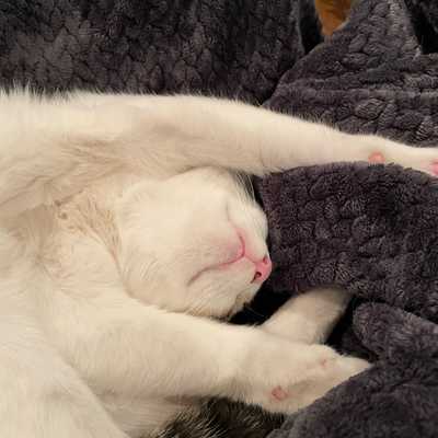 Some Days Are Sleepy Days