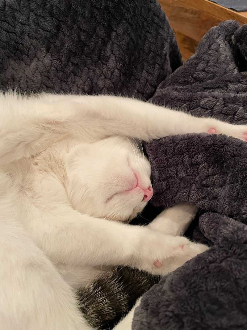 Some Days Are Sleepy Days