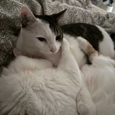 Bed time buddies