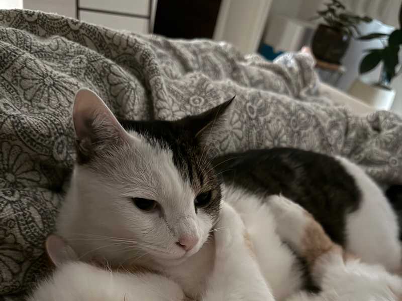 Bed time buddies